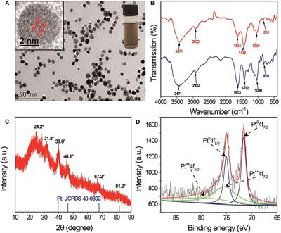 Sodium Alginate Modified Platinum Nanozymes With Highly Efficient and Robust Oxidase-Like Activity for Antioxidant Capacity and Analysis of Proanthocyanidins